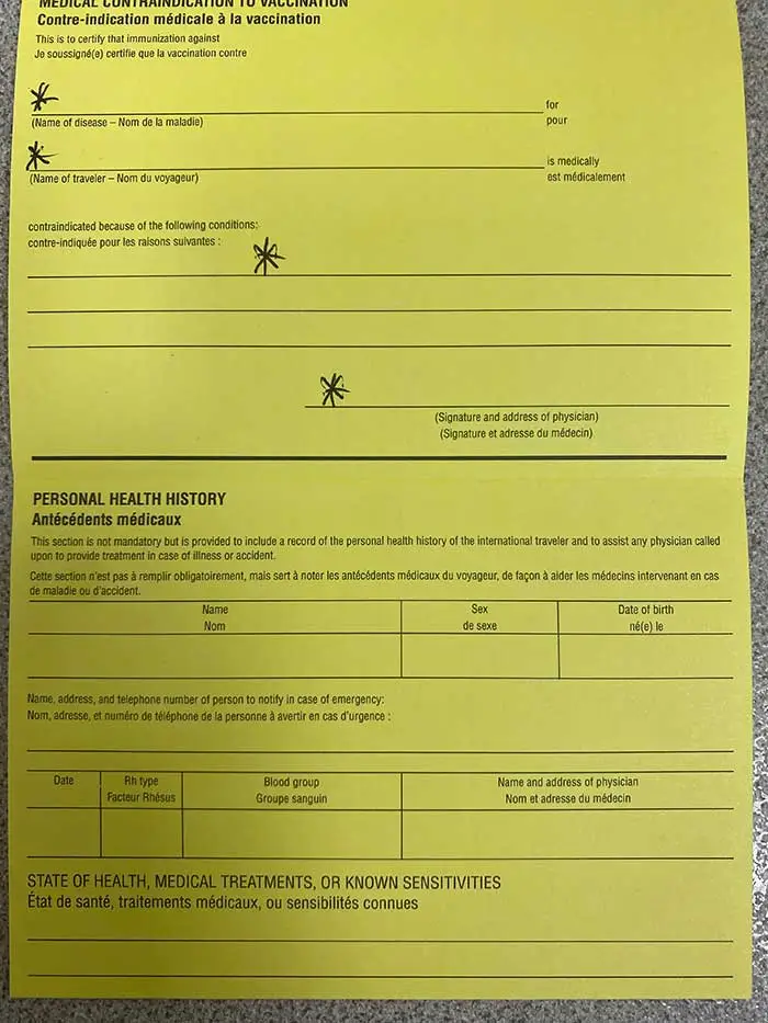 Yellow Fever Side Effects Who Should or Shouldn t be Vaccinated 